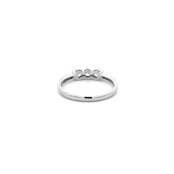 Ring with White Gold Zircons