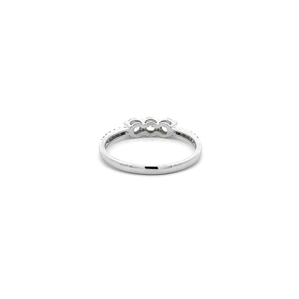 Ring with White Gold Zircons