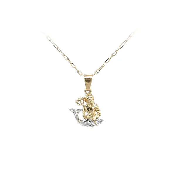 Gold Pendant Aquarius
