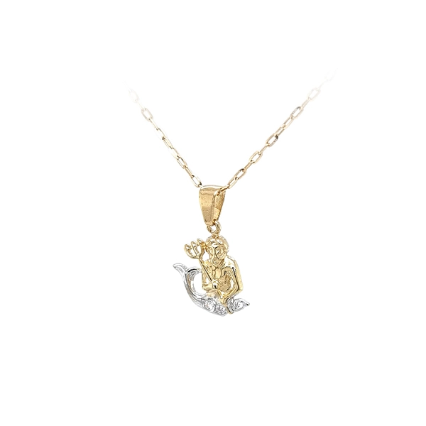Gold Pendant Aquarius