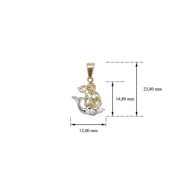 Gold Pendant Aquarius