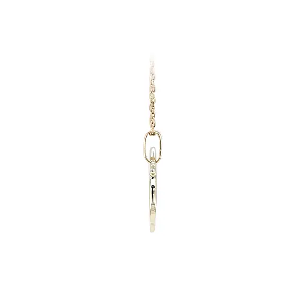Golden Dolphin Pendant