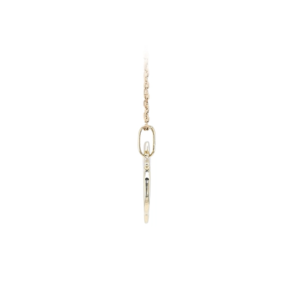 Golden Dolphin Pendant