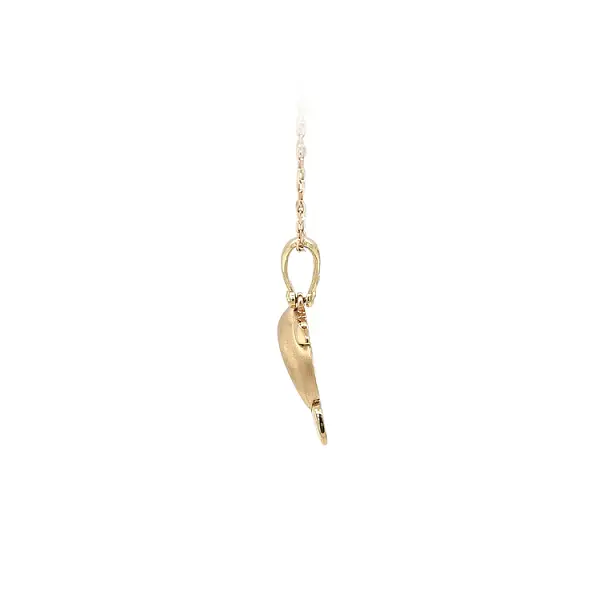 Golden Dolphin Pendant