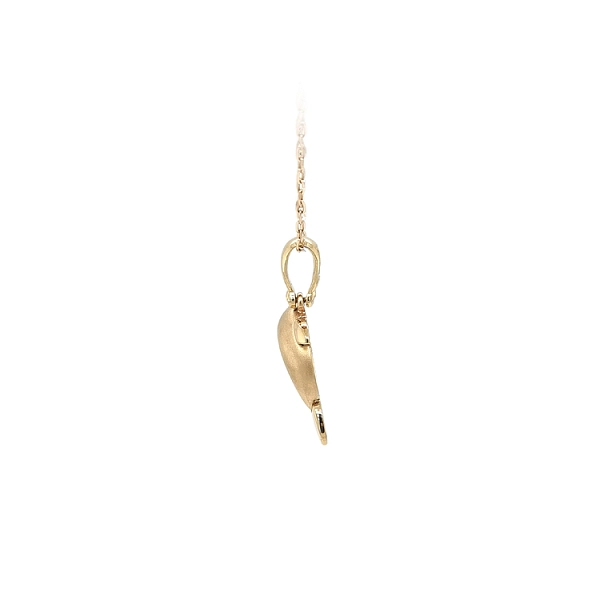 Golden Dolphin Pendant