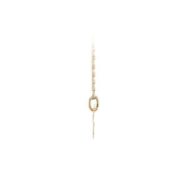 Golden Dolphin Pendant