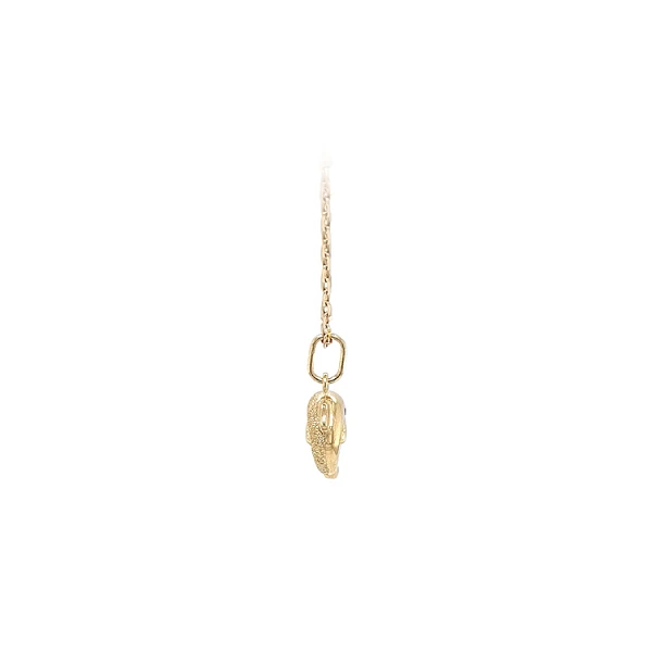 Golden Dolphin Pendant