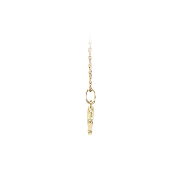 Golden Dolphin Pendant
