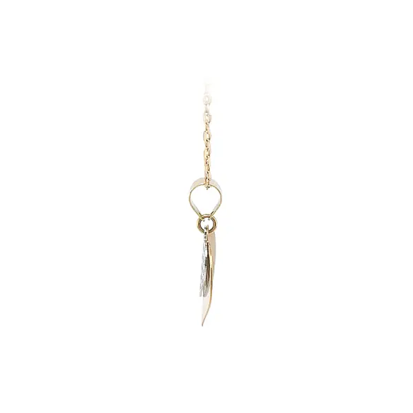 Pendant Heart of Gold Combination