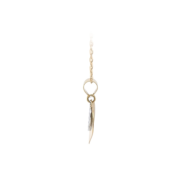 Pendant Heart of Gold Combination