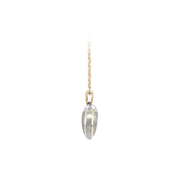 Pendant Heart of Gold Combination