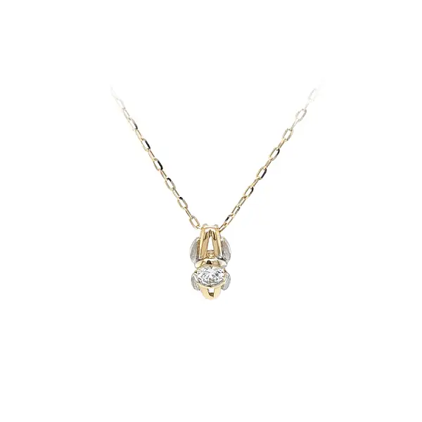 Pendant with Zircon Combined Gold