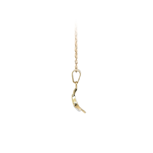 Golden Pendant with Zircones