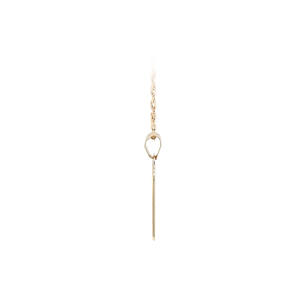 Gold Pendant Aquarius