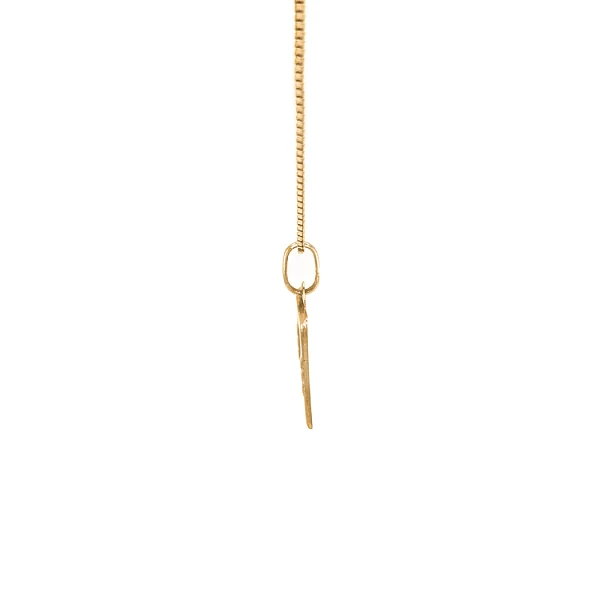 Gold Pendant Aquarius
