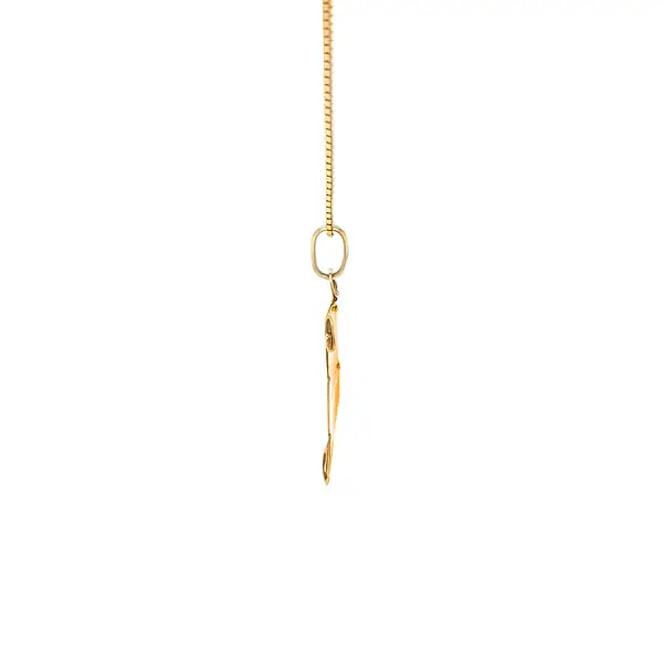 Gold Pendant Aquarius