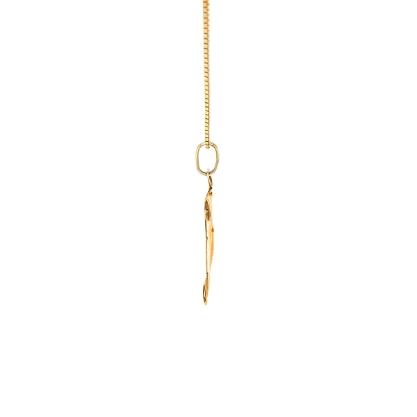 Gold Pendant Aquarius