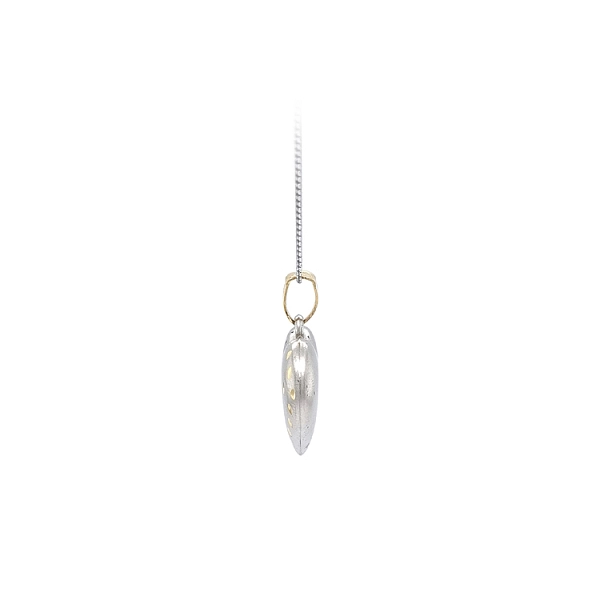 Pendant Heart of Gold Combination
