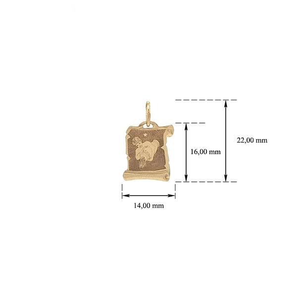 Gold Pendant Aquarius