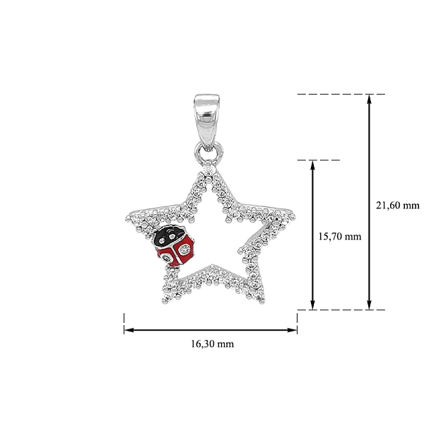 Gold Pendant Star and Ladybug with Zircones