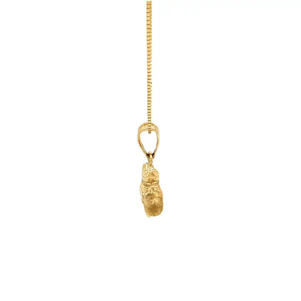 Golden Dolphin Pendant with Ball