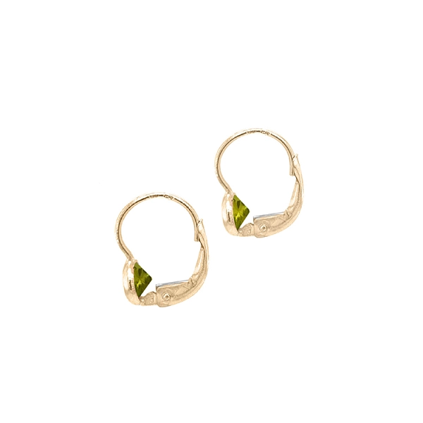 Gold Earrings with Zircons
