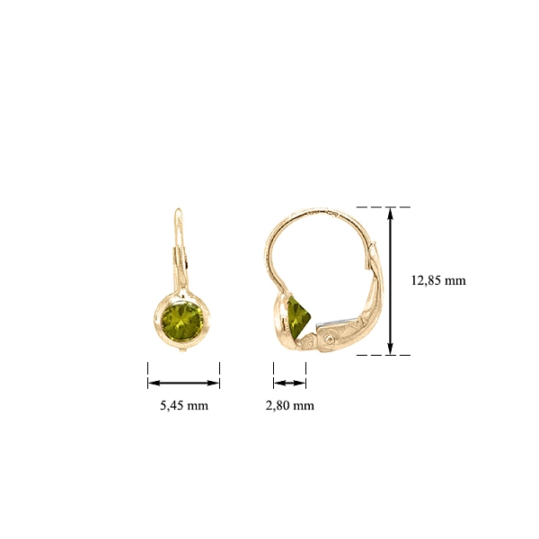 Gold Earrings with Zircons