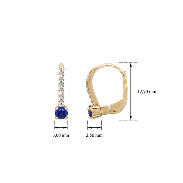 Gold Earrings with Zircons