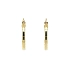 Elegant gold hoop earrings