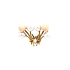Gold Earrings with Corals and Pearls