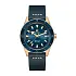 Rado Captain Cook Automatic Bronze R32504205