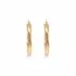 Two-Tone Gold Hoop Earrings