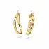 Yellow Gold Hoop Earrings