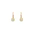 Gold Earrings with Diamonds