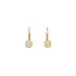Gold earrings with diamonds