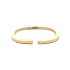 Gold Fixed Bracelet