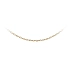 Golden Anker Chain