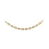 Golden Anker Chain