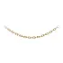 Golden Anker Chain
