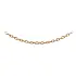 Golden Anker Chain