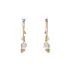 Gold Combination dangle earrings