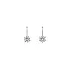 Earrings with White Gold Zircons