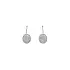 Earrings with White Gold Zircons