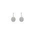 Earrings with White Gold Zircons