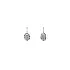 Earrings with White Gold Zircons