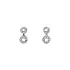 Earrings with White Gold Zircons