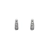Earrings with White Gold Zircons