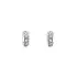 Earrings with White Gold Zircons
