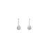 White Gold Earrings