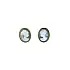 Luxury Gold Earrings with Cameo and Secure Clasp